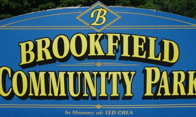 Lights to be installed in Brookfield park
