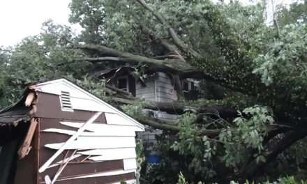 Storm drives family from home