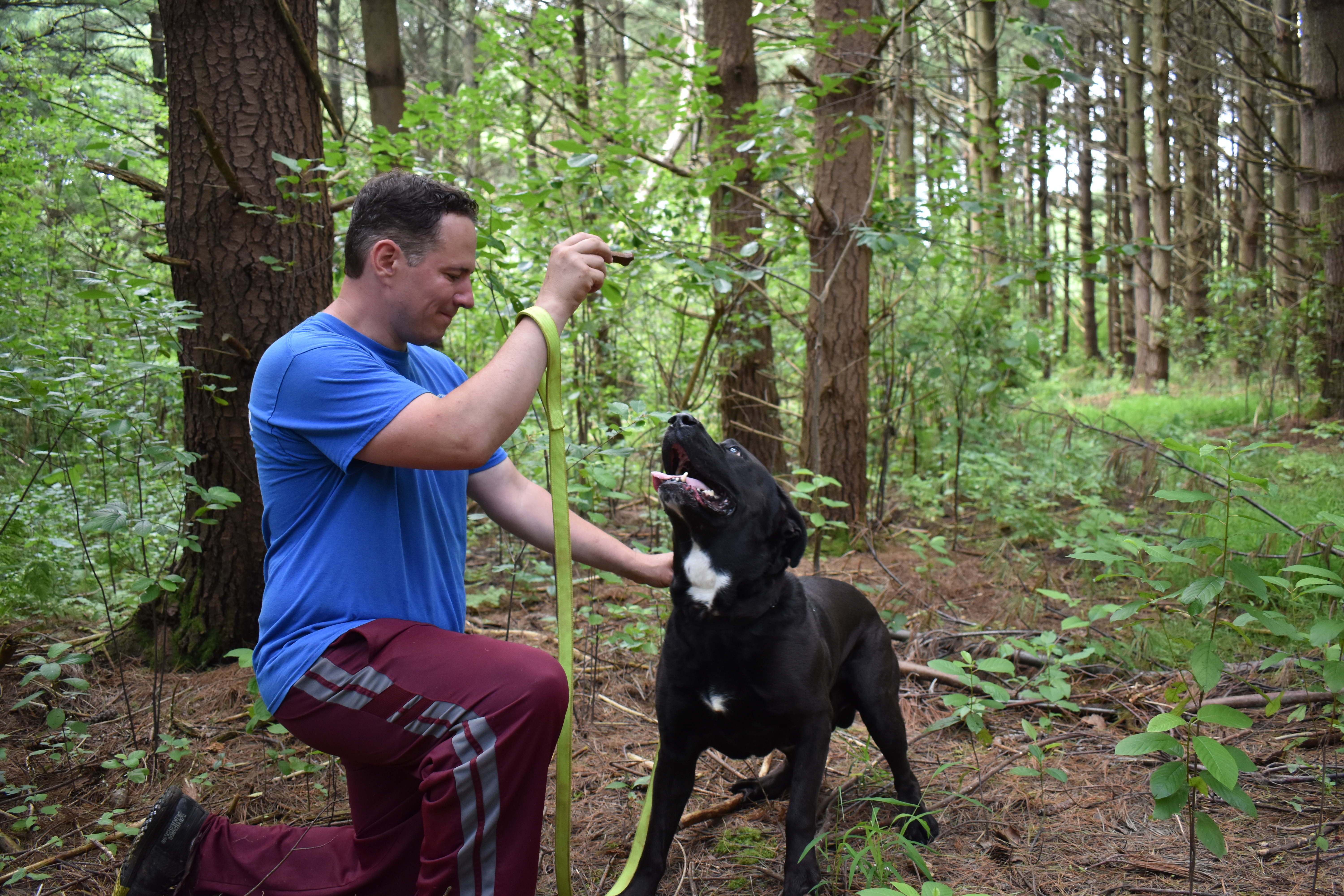 Jason Cooke shows how well-behaved Oliver is during a walk in the woods.