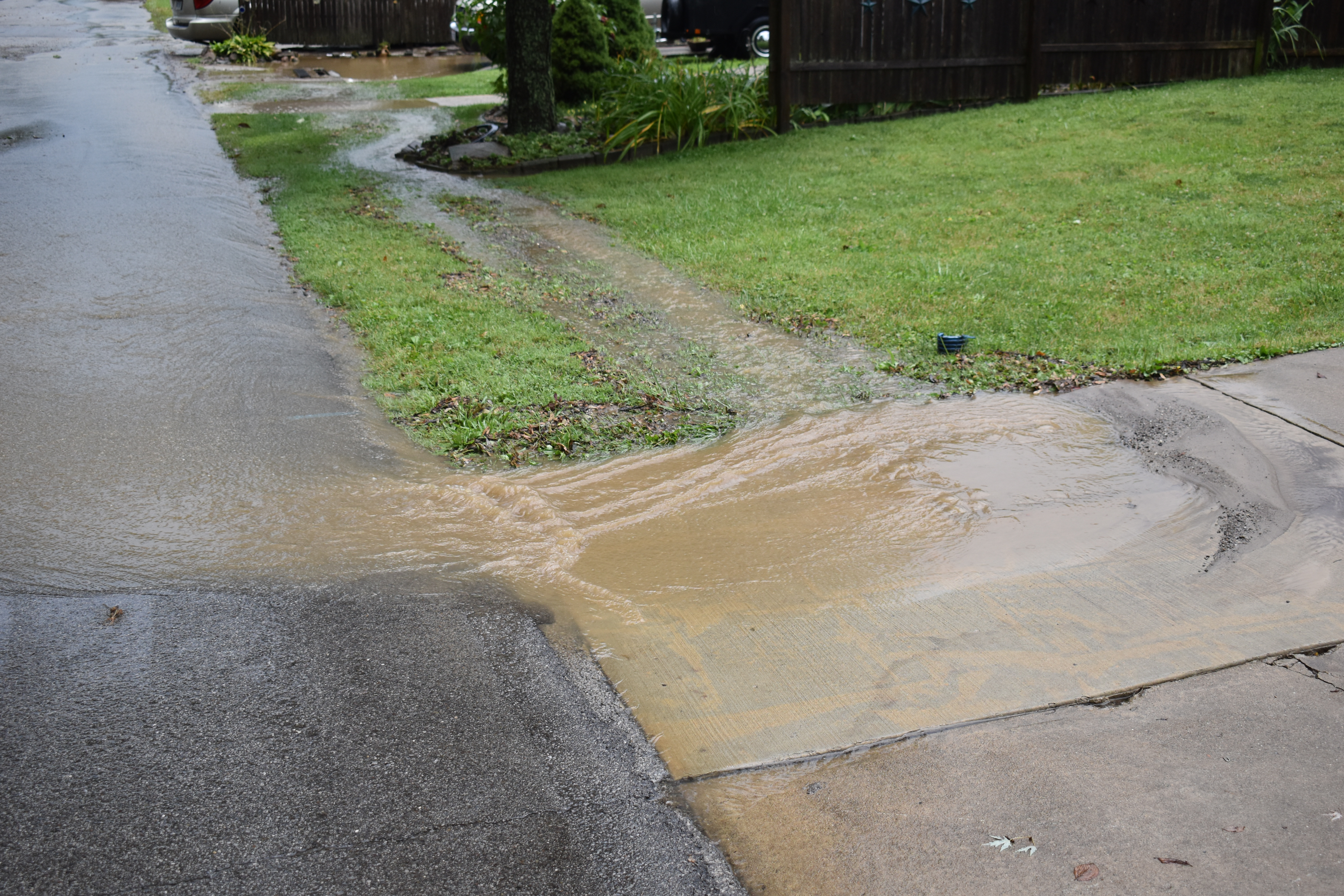 Water flows out of a storm drain on Rose Avenue.
