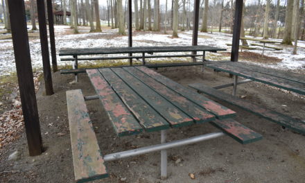 Lees seeks funds to leverage grant for park