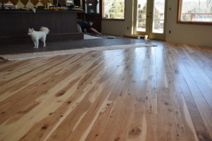 Meiko, an American Eskimo Dog, stands watch as Garrett McMullin lays tile in the bar of Yankee Run Golf Course. The wood floor in the foreground was made from hickory trees that were blown down in the Father's Day 2019 tornado.