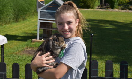 Local girl to show rabbits at county fair