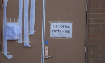 Voter turnout seems to be above the norm