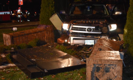 Driver in sign crash says steering locked up