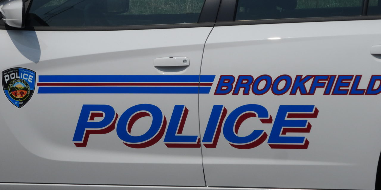 Brookfield Police Department report for 2020
