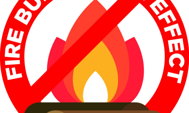 Burn ban in effect