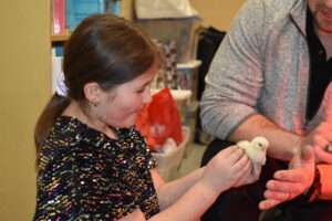 Julie O'Brien, Brookfield Elementary fourth grader, cradles a newly hatched chick at the school's afterschool program.
